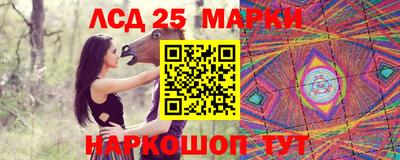 гидра Ставрополь