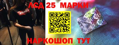 гидра Ставрополь