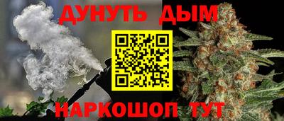 гидра Ставрополь