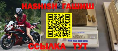 гидра Ставрополь