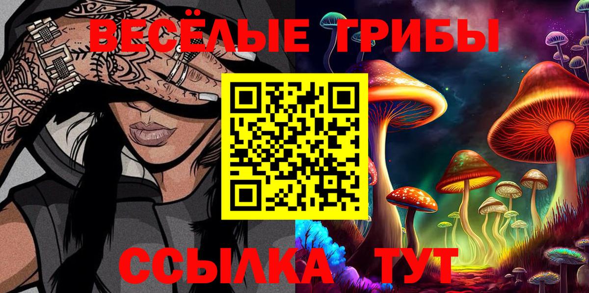 Псилоцибиновые грибы прущие грибы  сколько стоит  Подольск  Вход с VPN 